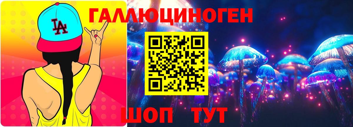 Тутаев  Галлюциногенные грибы MAGIC MUSHROOMS  Псилоцибиновые грибы Psilocybine cubensis  Вход с VPN 
